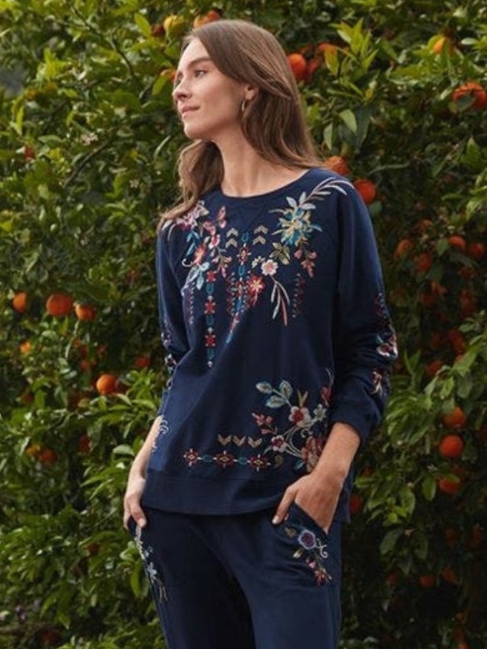 Johnny Was Dreamer Embroidered Blue Pullover Sweatshirt Size XS